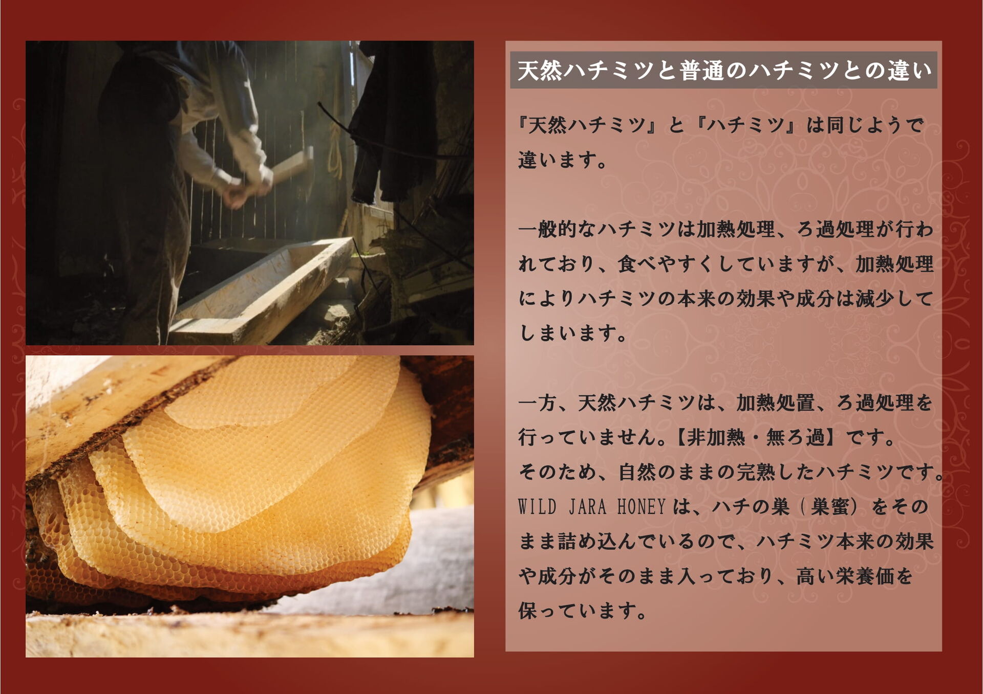 蜂の巣